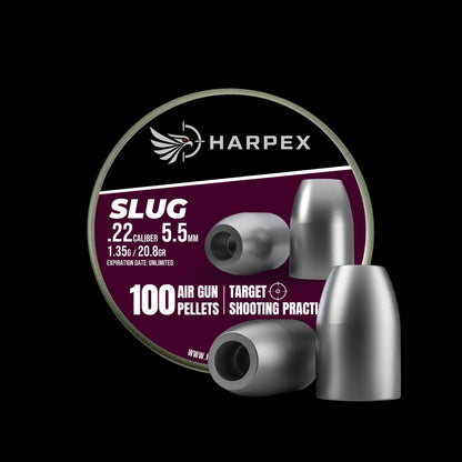 Slug .22 Caliber - 100 pellets