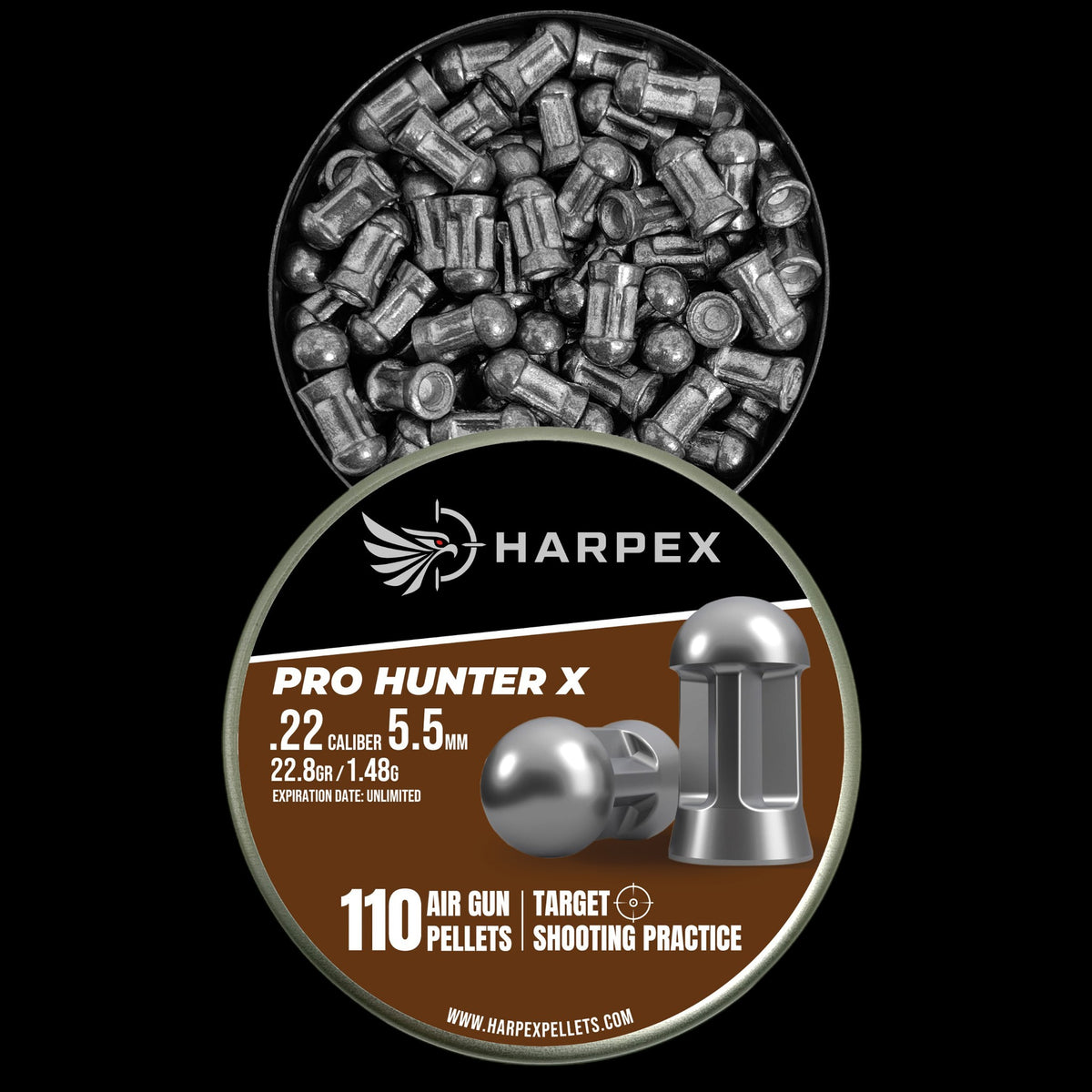 Pro Hunter X .22 Caliber - 110 pellets