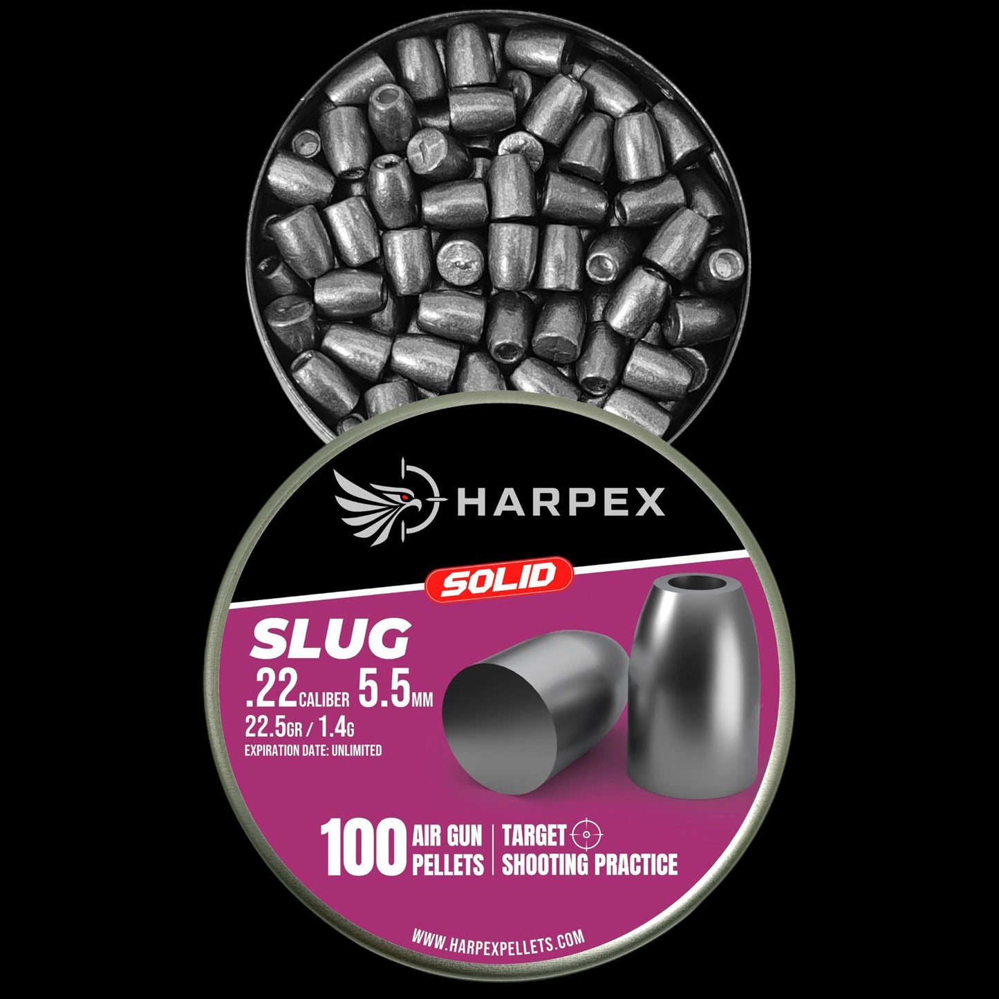 Slug Solid .22 Caliber - 100 pellets
