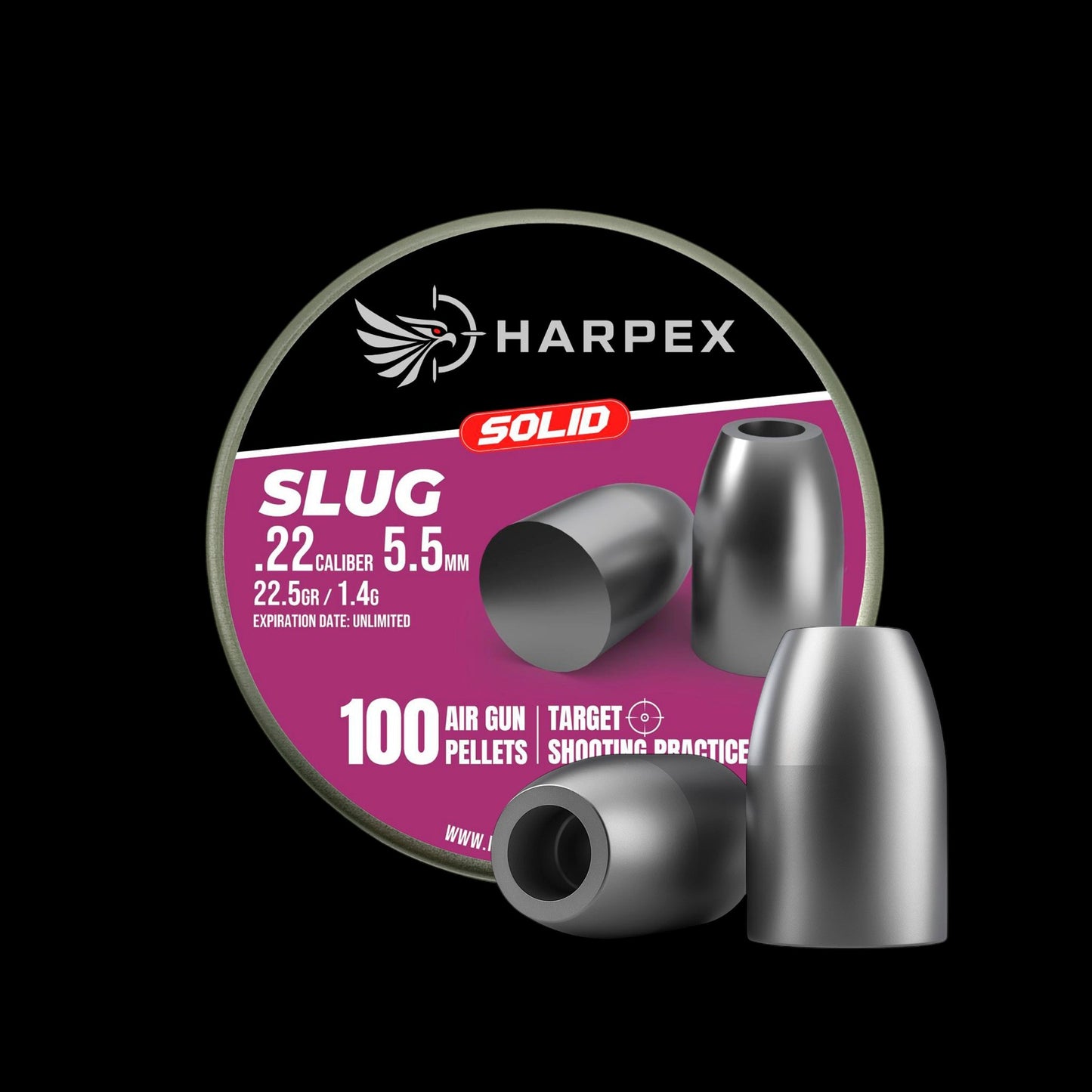 Slug Solid .22 Caliber - 100 pellets